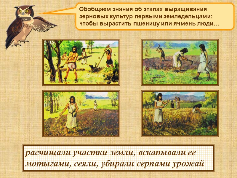 расчищали участки земли, вскапывали ее мотыгами, сеяли, убирали серпами урожай Обобщаем знания об этапах